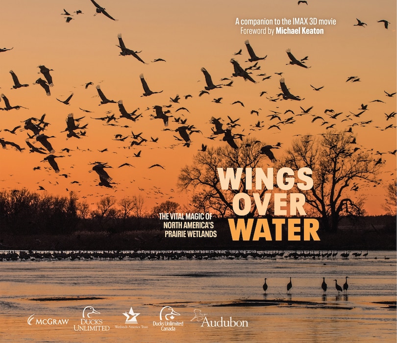 Front cover_Wings Over Water