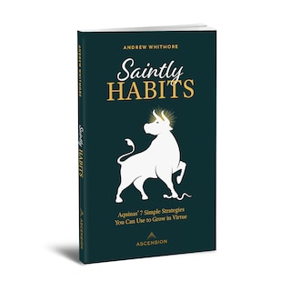 Front cover_Saintly Habits
