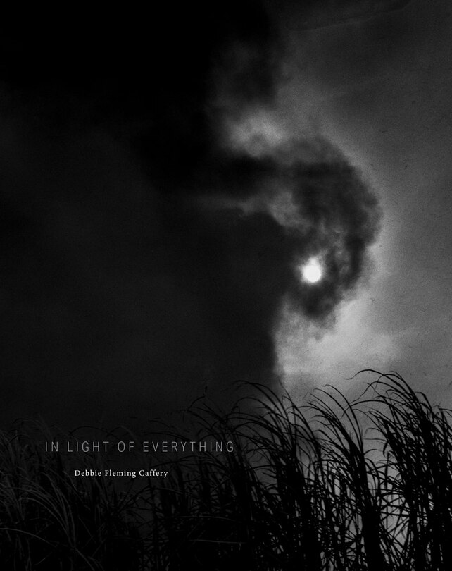 Front cover_Debbie Fleming Caffery: In Light of Everything