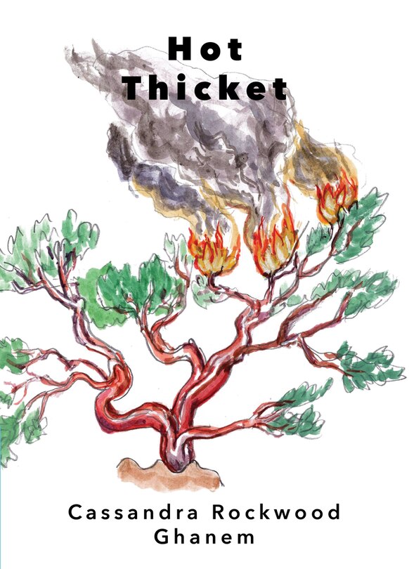 Front cover_Hot Thicket