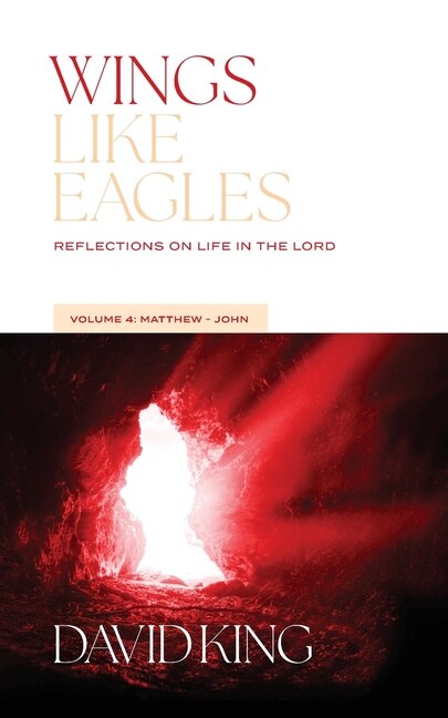 Front cover_Wings Like Eagles