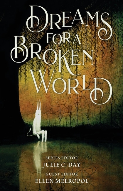 Front cover_Dreams for a Broken World