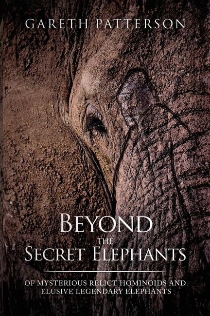 Couverture_Beyond the Secret Elephants