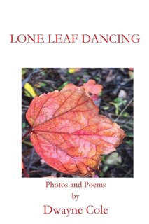 Couverture_Lone Leaf Dancing