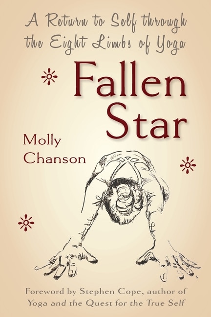 Front cover_Fallen Star