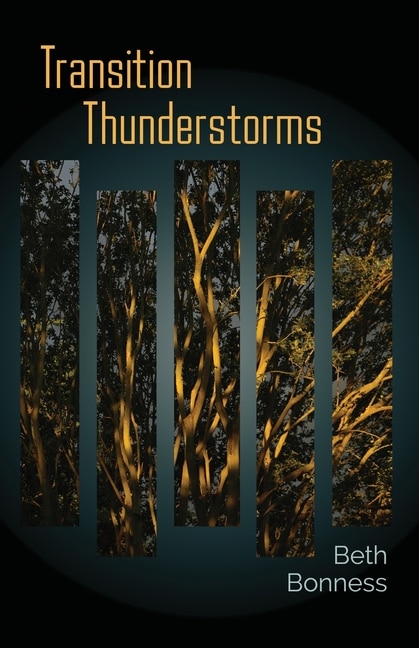 Couverture_Transition Thunderstorms