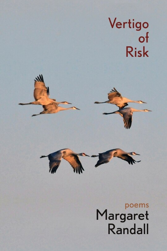 Front cover_Vertigo of Risk