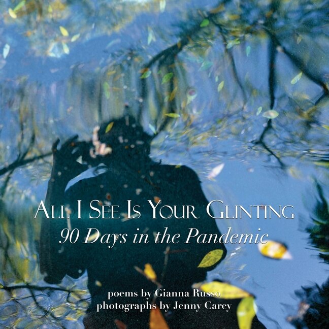 Front cover_All I See Is Your Glinting