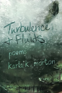 Couverture_Turbulence & Fluids