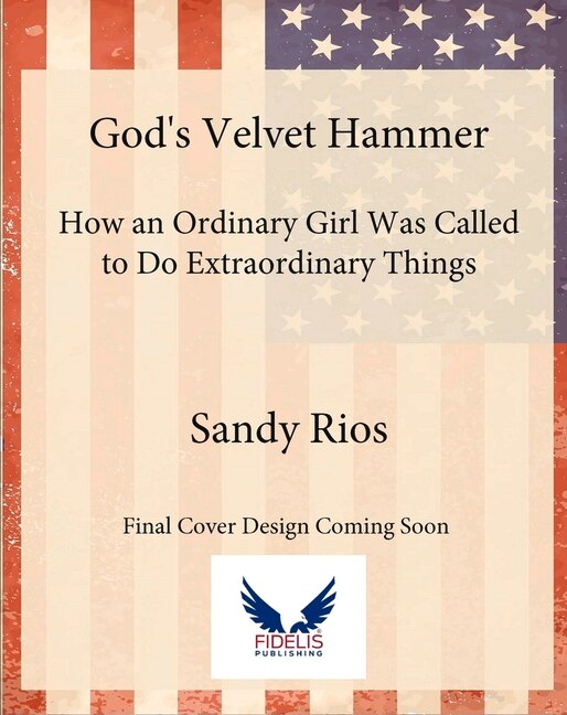 Couverture_God's Velvet Hammer