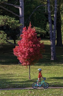 Front cover_105 Meadowlark Reader