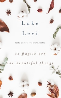 Front cover_So Fragile Are the Beautiful Things