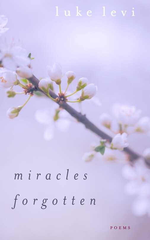 Front cover_Miracles Forgotten