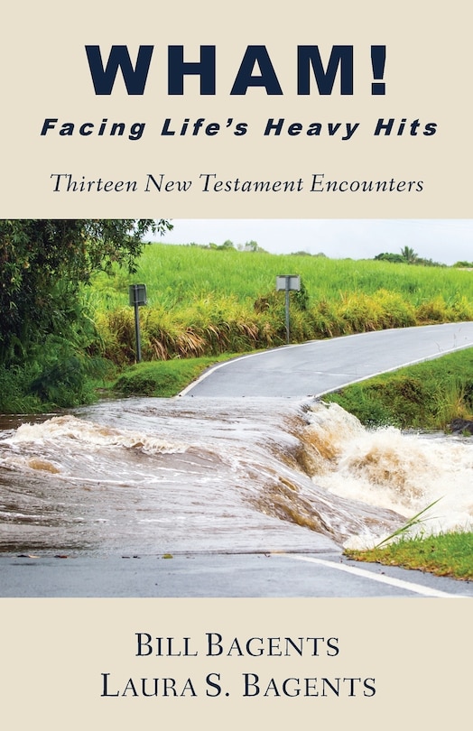 Couverture_WHAM! Facing Life's Heavy Hits