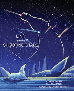Couverture_Link and the Shooting Stars