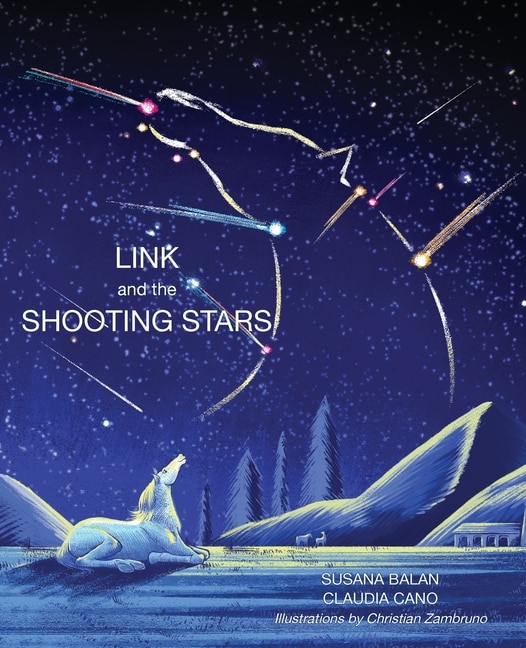 Couverture_Link and the Shooting Stars