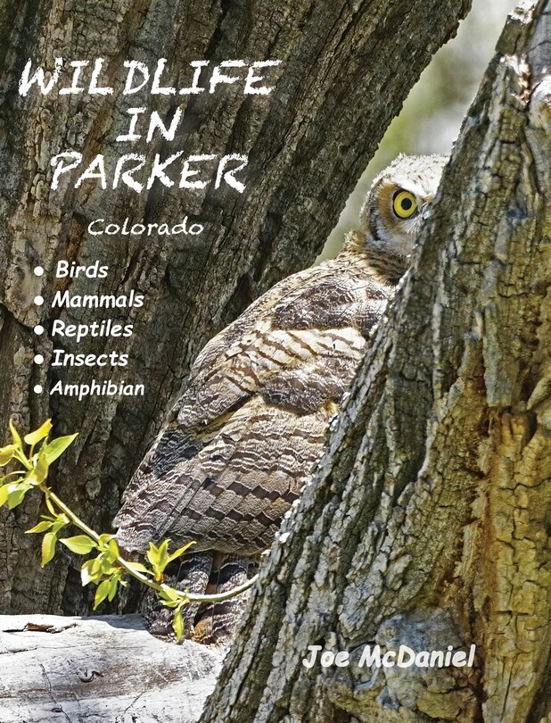 Couverture_Wildlife In Parker