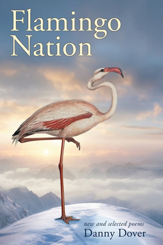 Front cover_Flamingo Nation