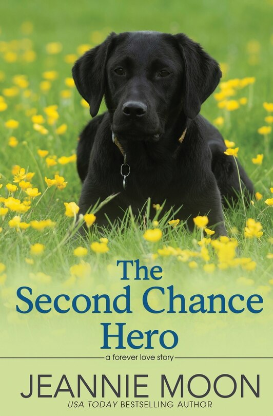 Front cover_The Second Chance Hero