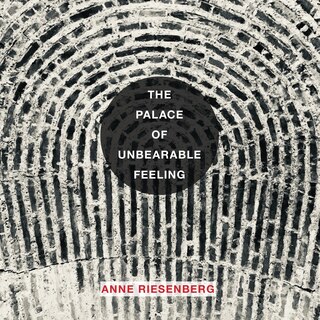 Couverture_The Palace of Unbearable Feeling