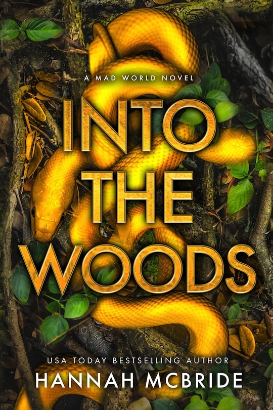 Couverture_Into the Woods
