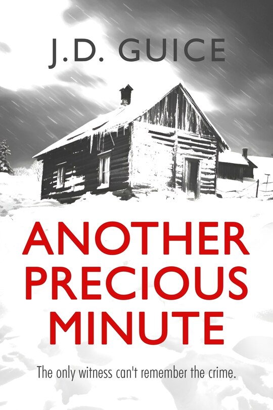 Front cover_Another Precious Minute
