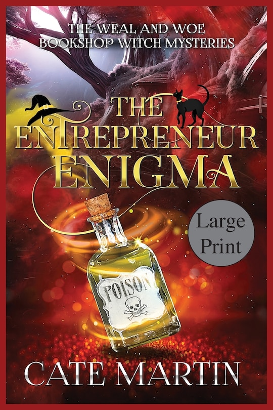 Couverture_The Entrepreneur Enigma