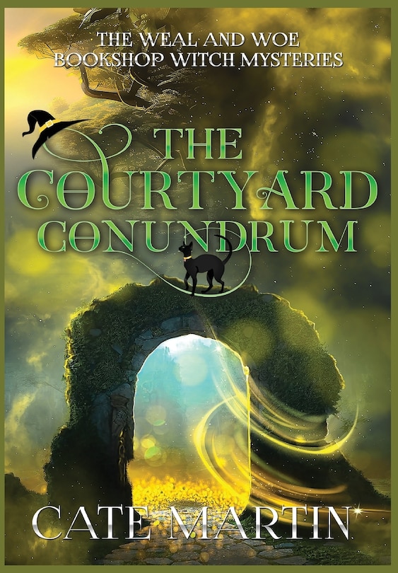 Front cover_The Courtyard Conundrum