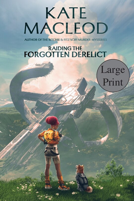 Couverture_Raiding the Forgotten Derelict
