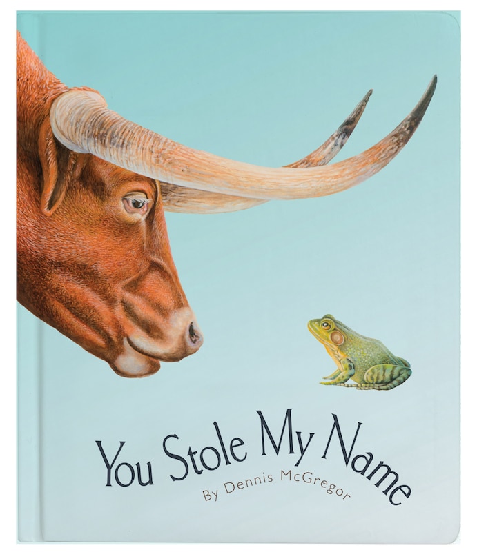 Couverture_You Stole My Name