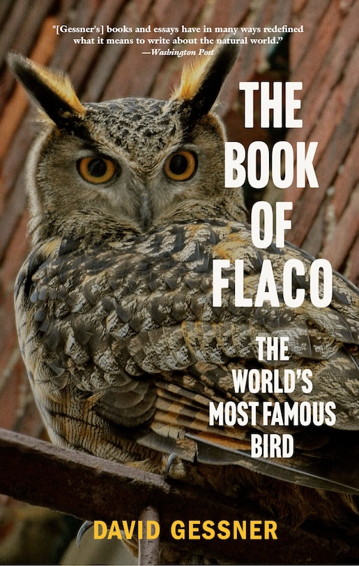 Front cover_The Book of Flaco