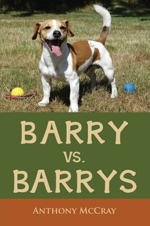 Couverture_Barry VS. Barrys