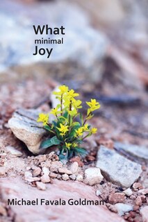 Couverture_What Minimal Joy