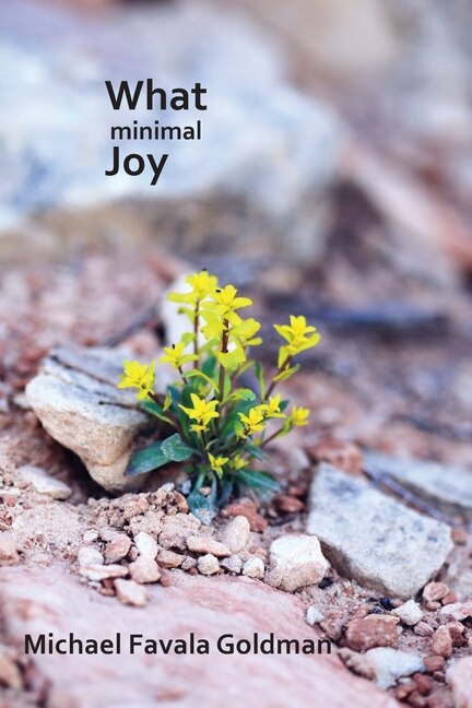 Couverture_What Minimal Joy