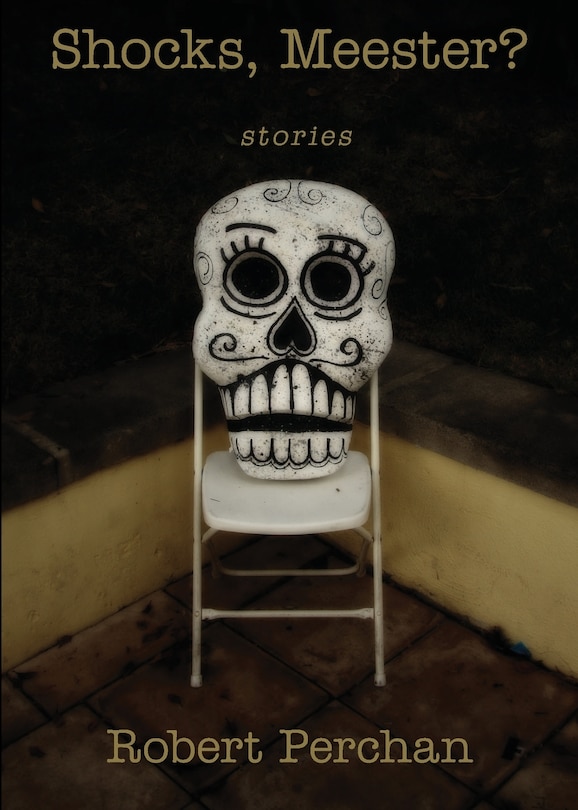 Front cover_Shocks, Meester?
