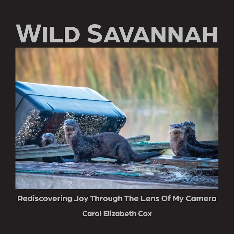 Front cover_Wild Savannah