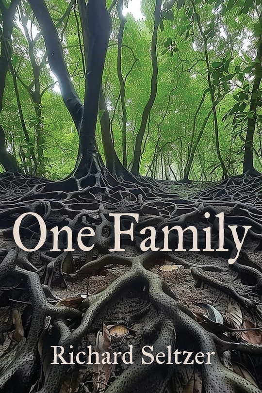 Couverture_One Family