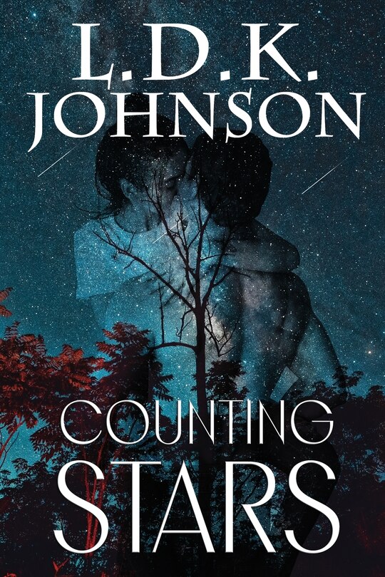 Couverture_Counting Stars