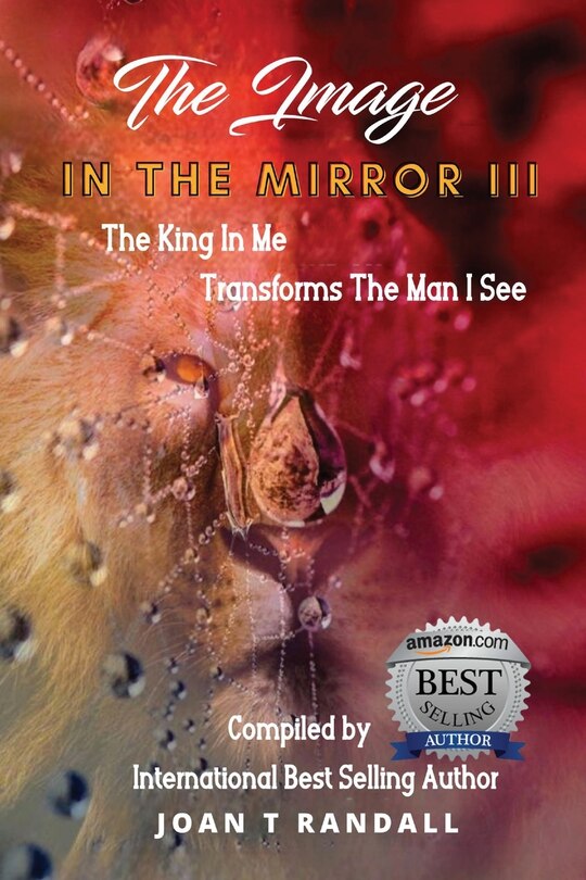 Couverture_The Image in the Mirror III