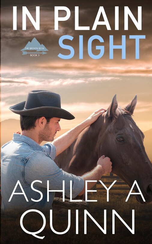 Front cover_In Plain Sight