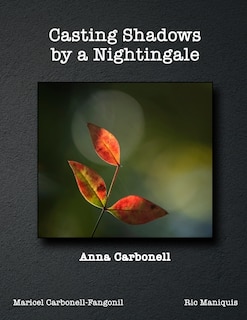 Front cover_Casting Shadows by A Nightingale