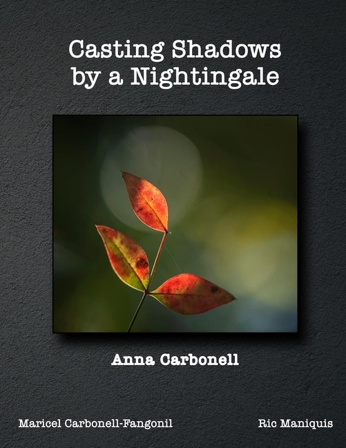 Front cover_Casting Shadows by A Nightingale