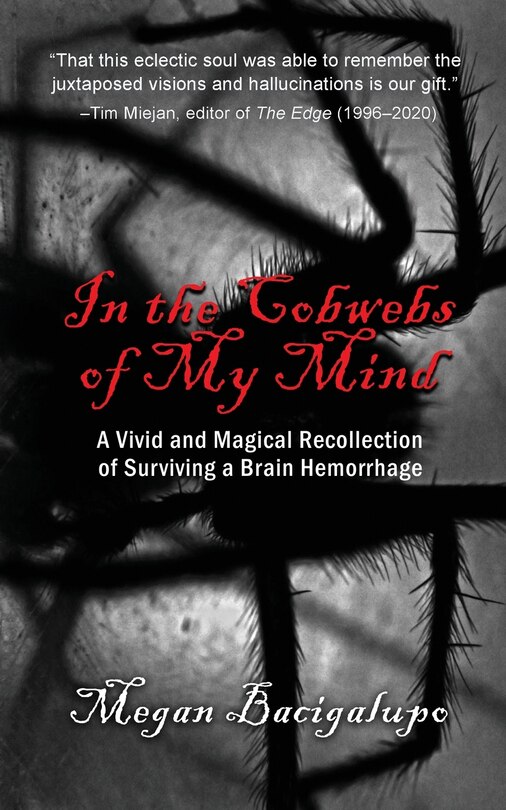 Front cover_In the Cobwebs of My Mind
