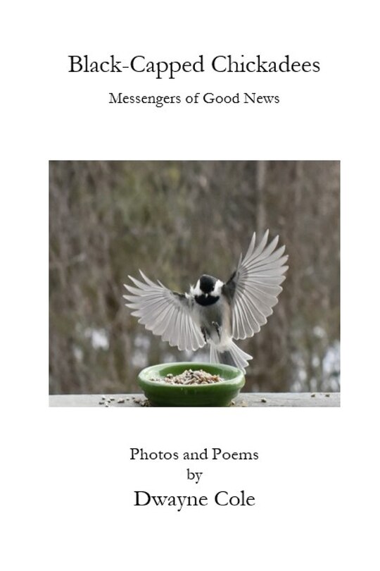 Front cover_Black-Capped Chickadees