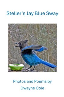 Couverture_Steller's Jay Blue Sway