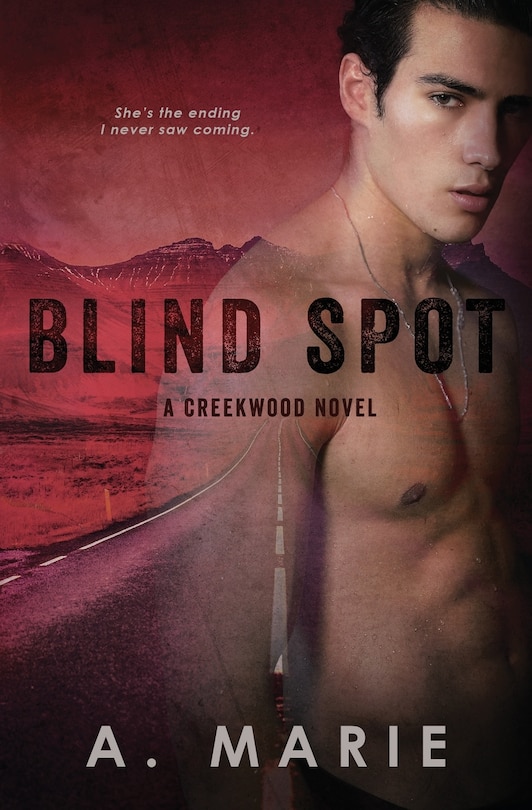 Front cover_Blind Spot