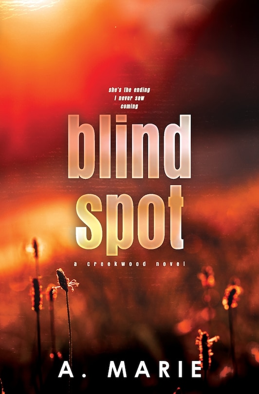Couverture_Blind Spot Discreet Cover