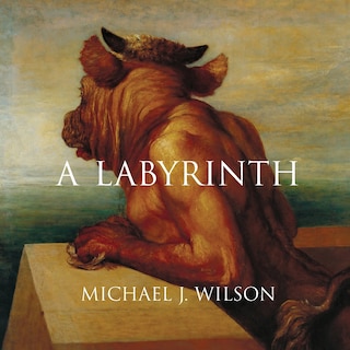 Front cover_A Labyrinth