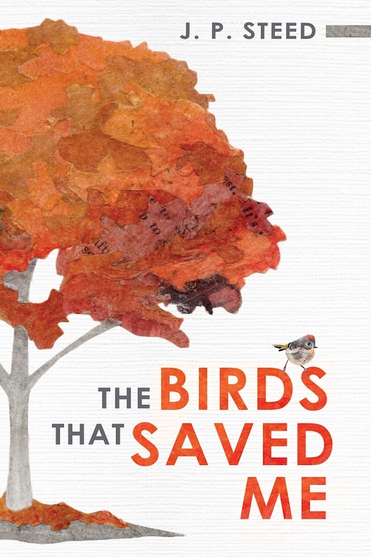 Front cover_The Birds That Saved Me