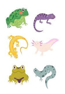 Front cover_Self-awareness & Gratitude Journal for Children (Reptiles)